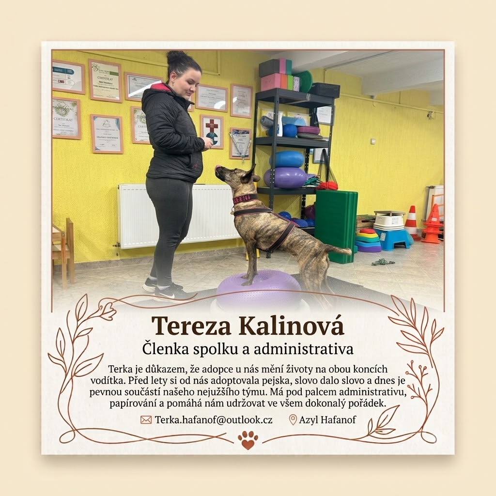 Péče o svěřence a koordinace