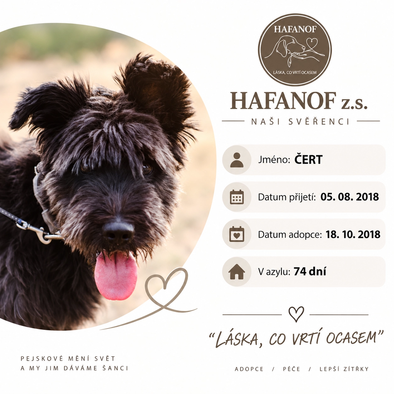 Čert – bývalý svěřenec Hafanofu