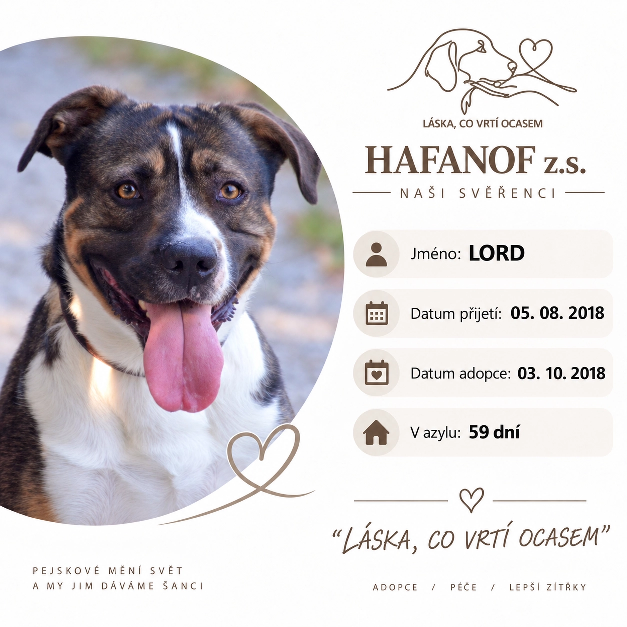 Lord – bývalý svěřenec Hafanofu