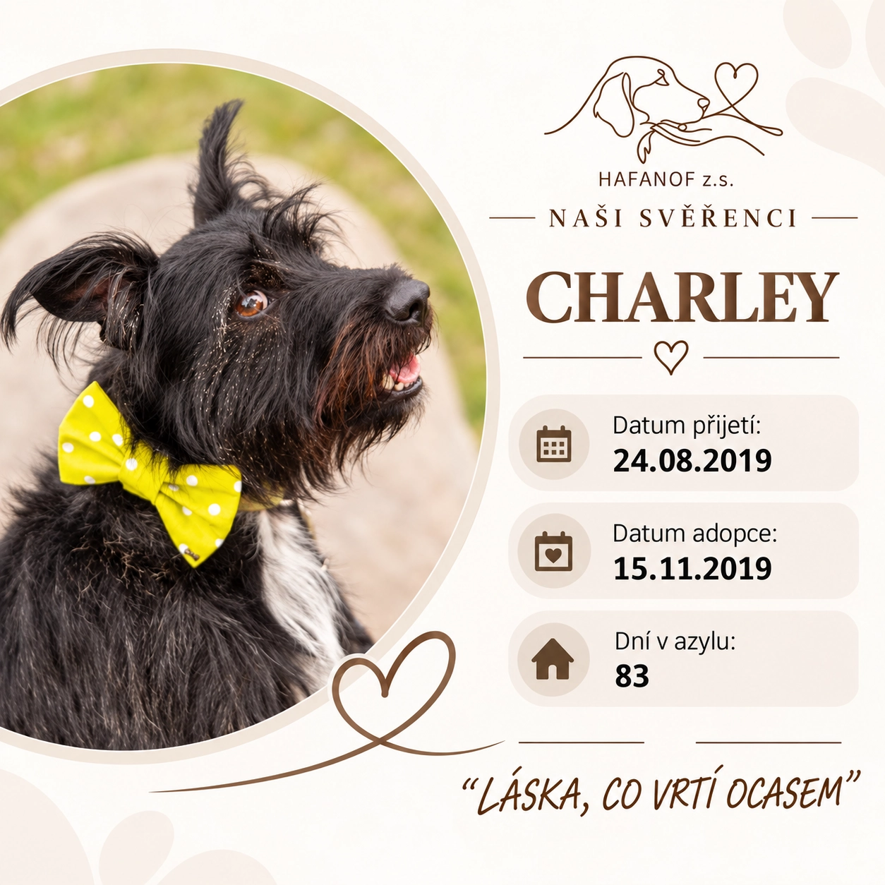 Charley – bývalý svěřenec Hafanofu