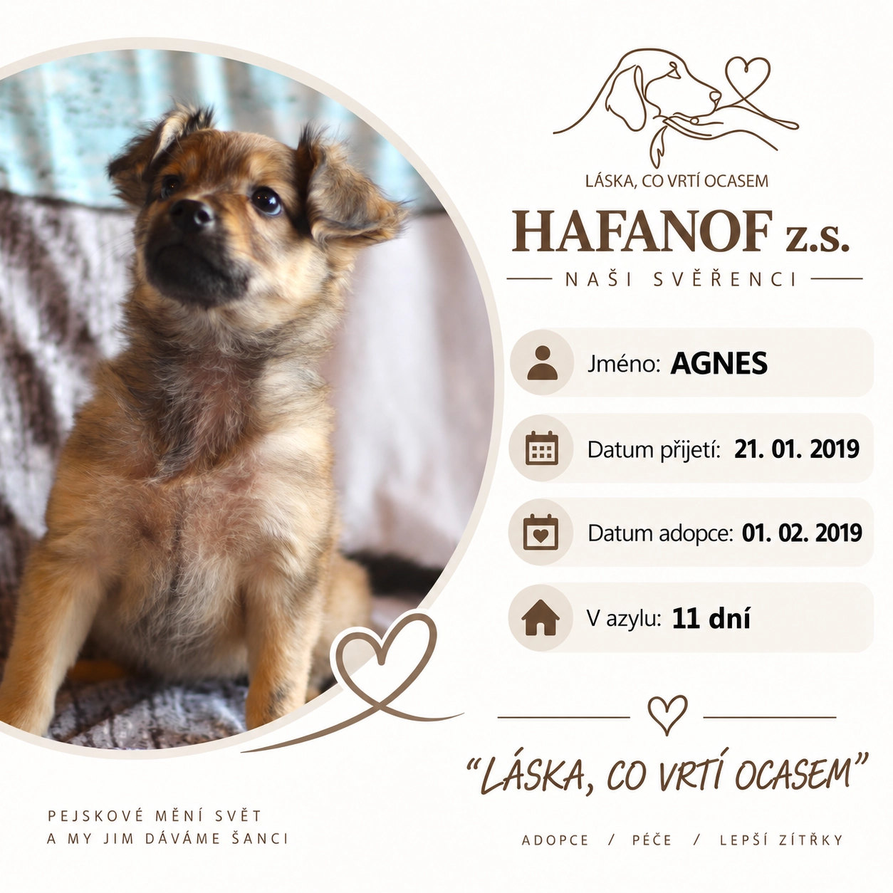 Agnes – bývalá svěřenkyně Hafanofu