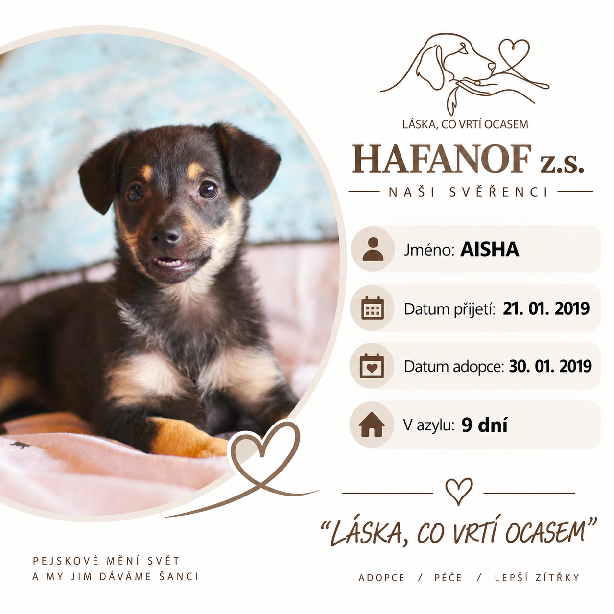 Aisha – bývalá svěřenkyně Hafanofu
