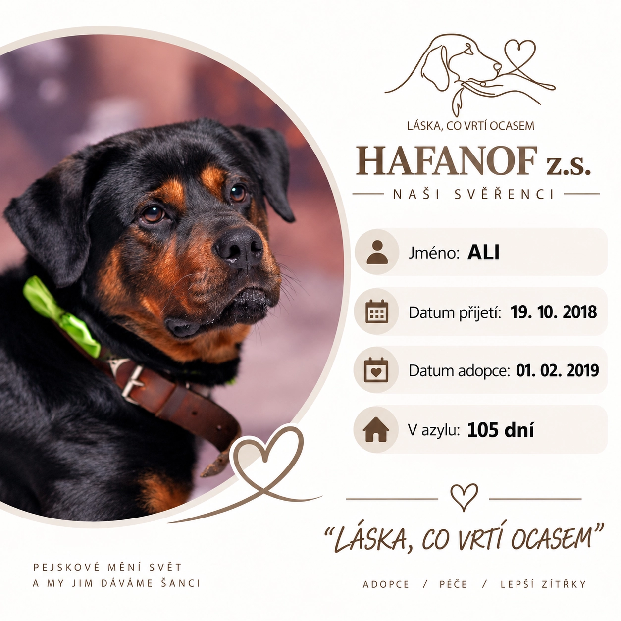Ali – bývalý svěřenec Hafanofu