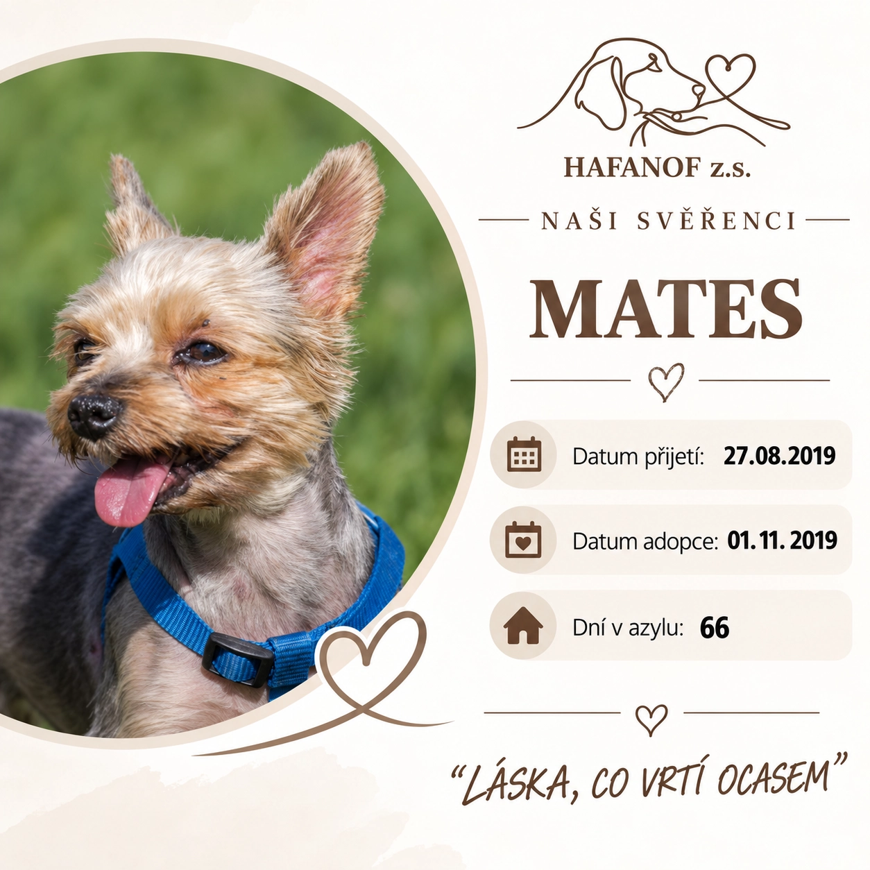 Mates – bývalý svěřenec Hafanofu