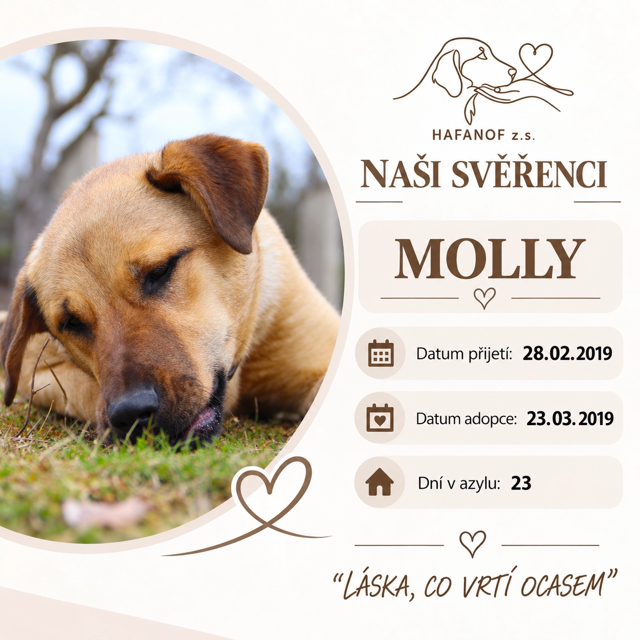 Molly – bývalá svěřenkyně Hafanofu