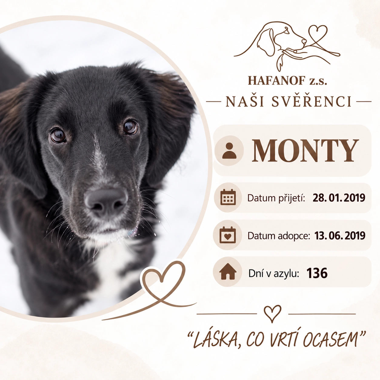Monty – bývalý svěřenec Hafanofu