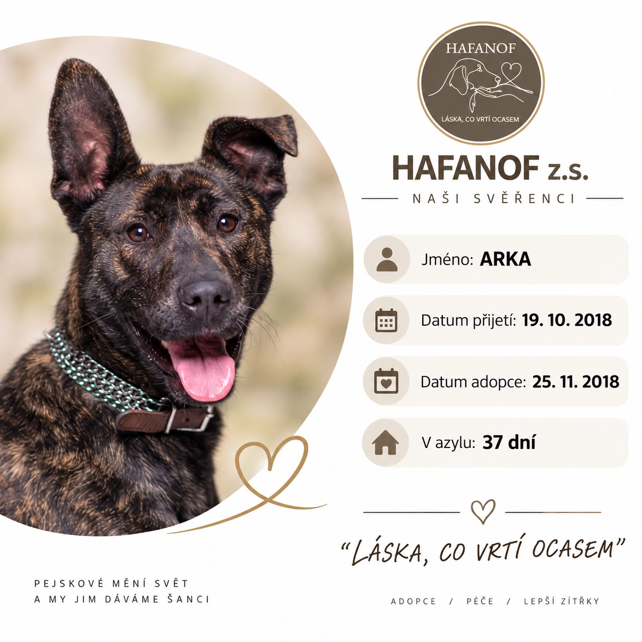 Arka – bývalá svěřenkyně Hafanofu