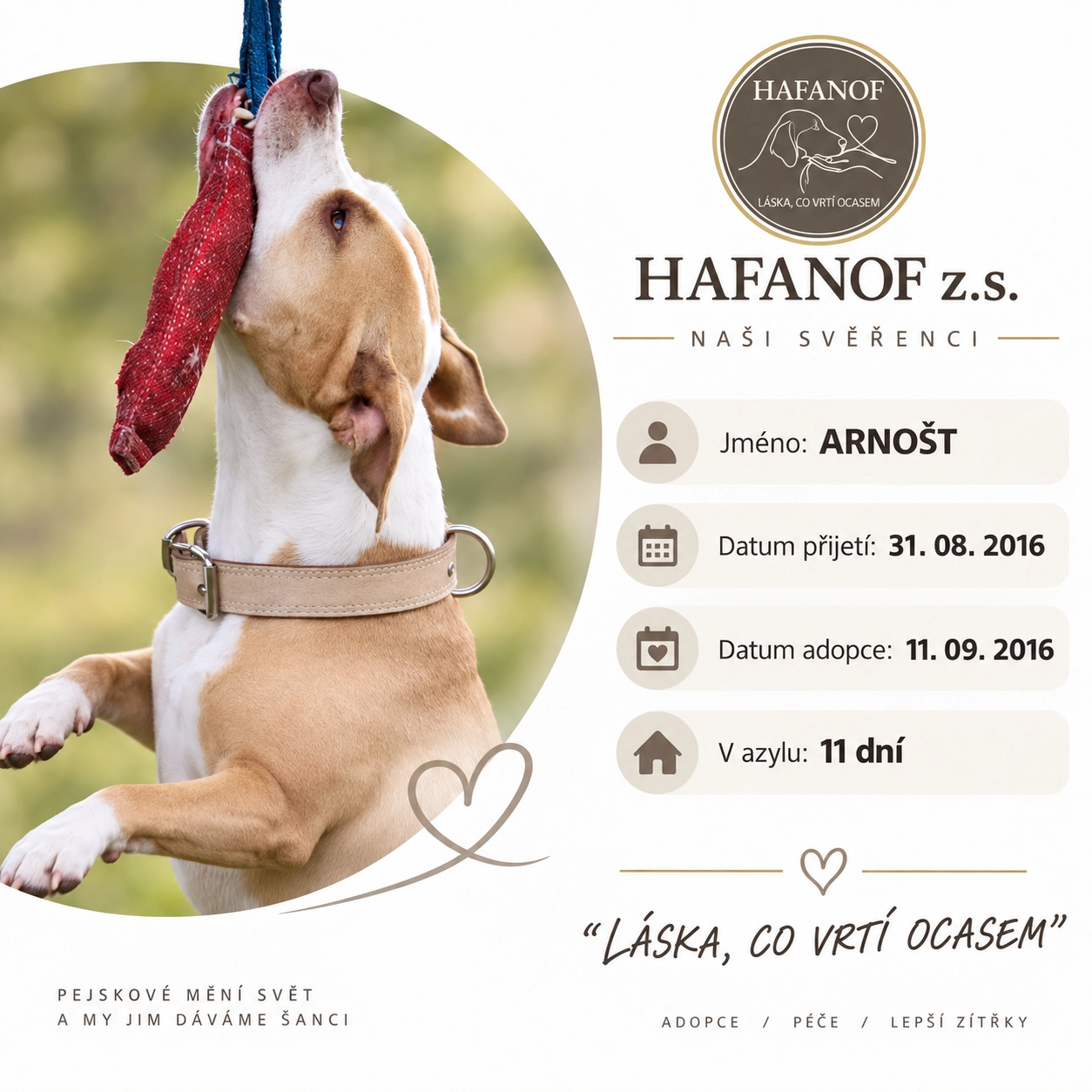 Arnošt – bývalý svěřenec Hafanofu