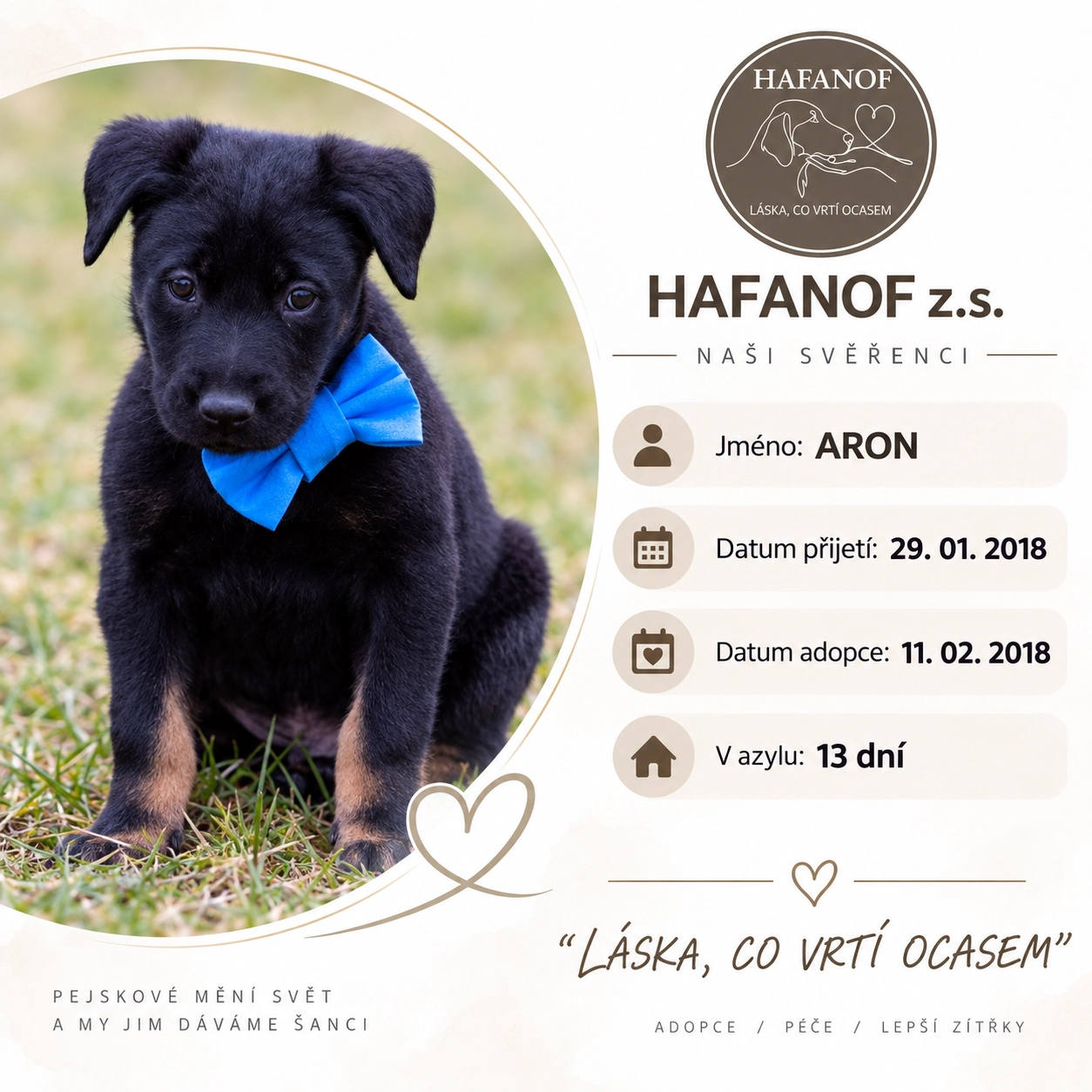 Aron – bývalý svěřenec Hafanofu