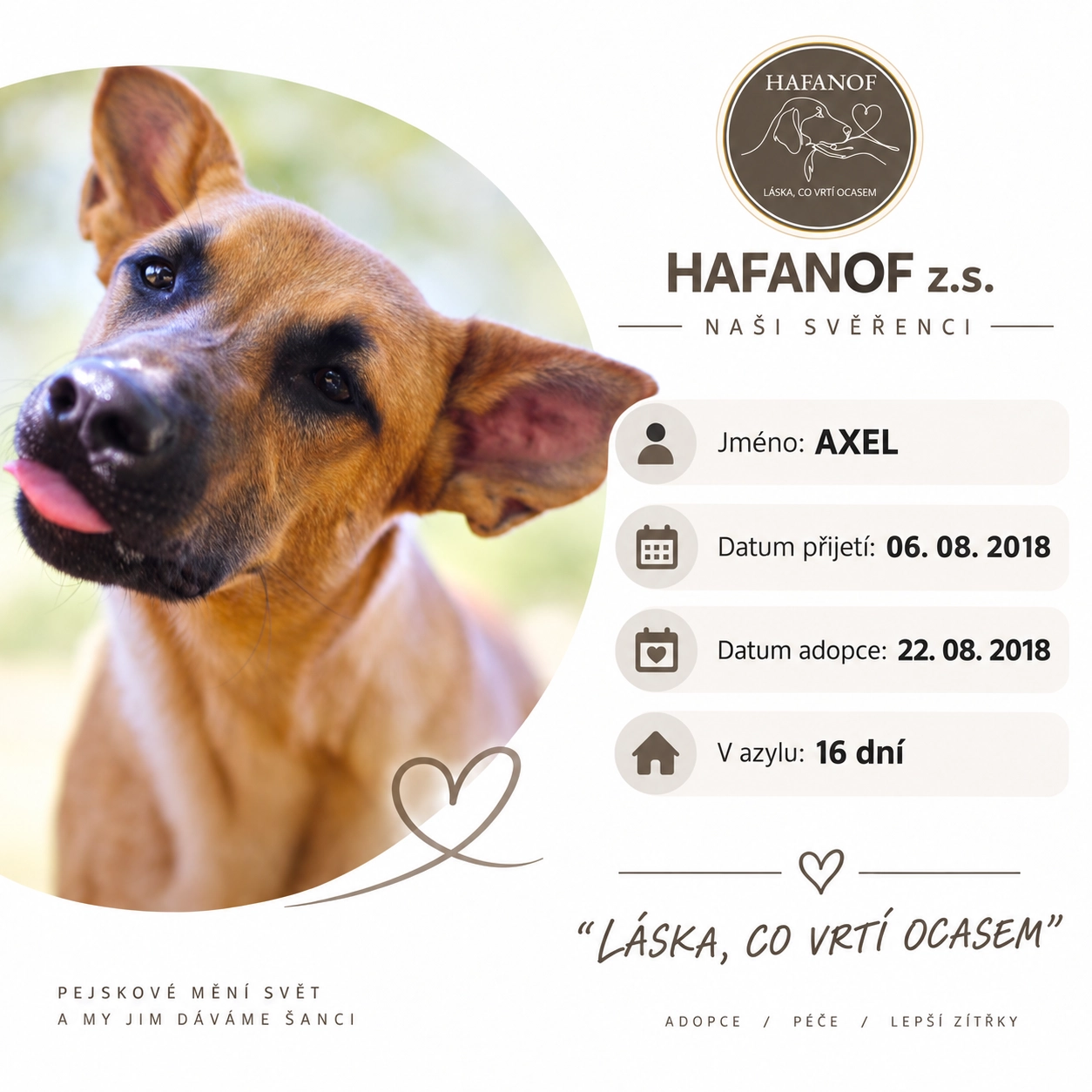 Axel – bývalý svěřenec Hafanofu