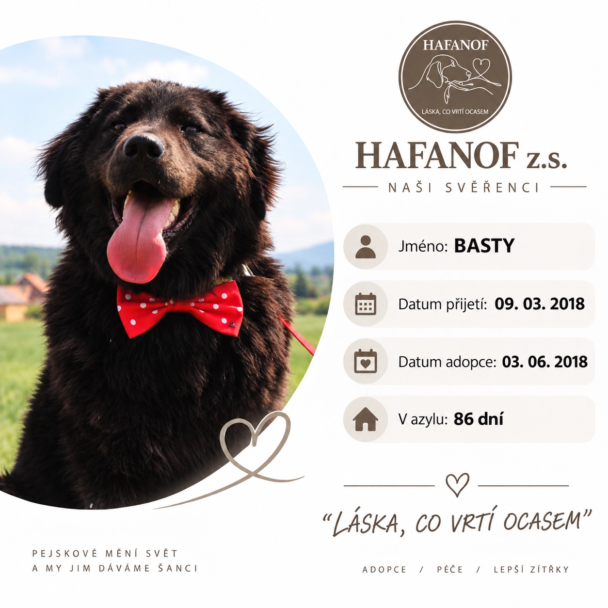 Basty – bývalý svěřenec Hafanofu