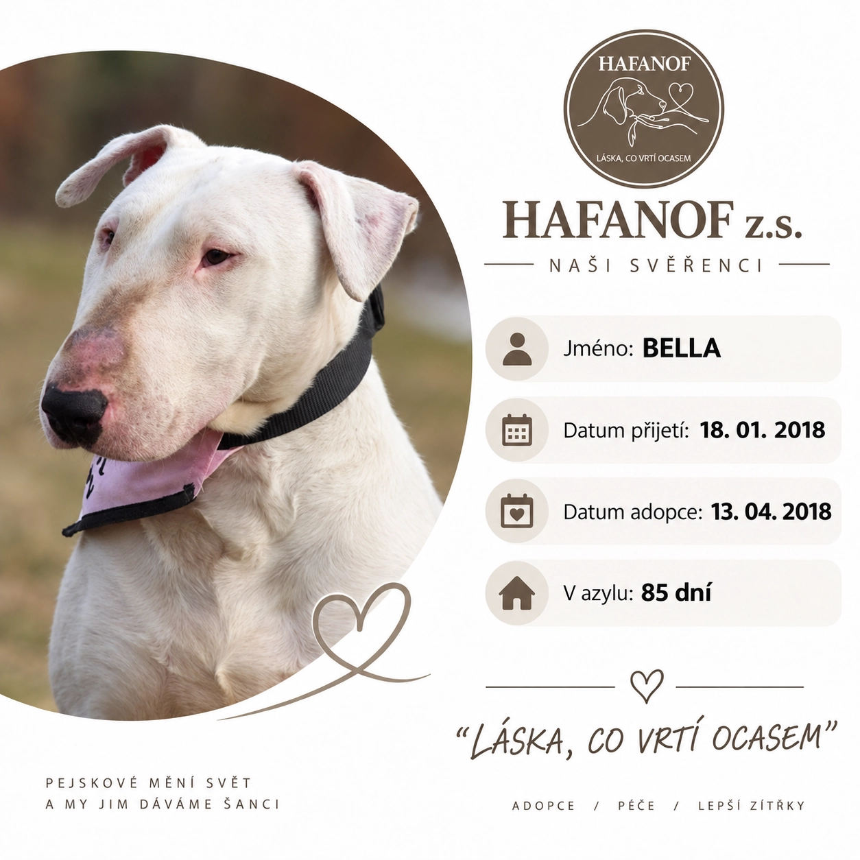 Bella – bývalá svěřenkyně Hafanofu