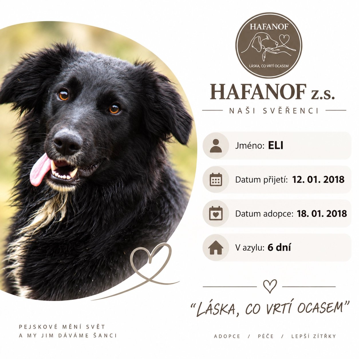 Eli – bývalá svěřenkyně Hafanofu