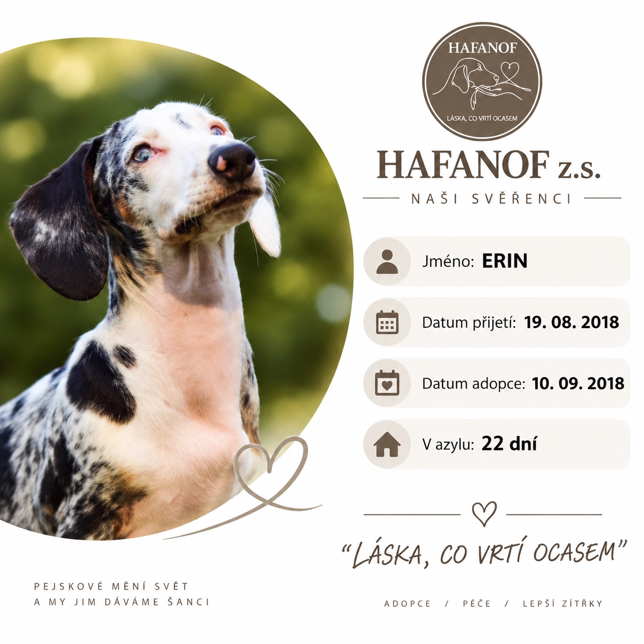Erin – bývalá svěřenkyně Hafanofu