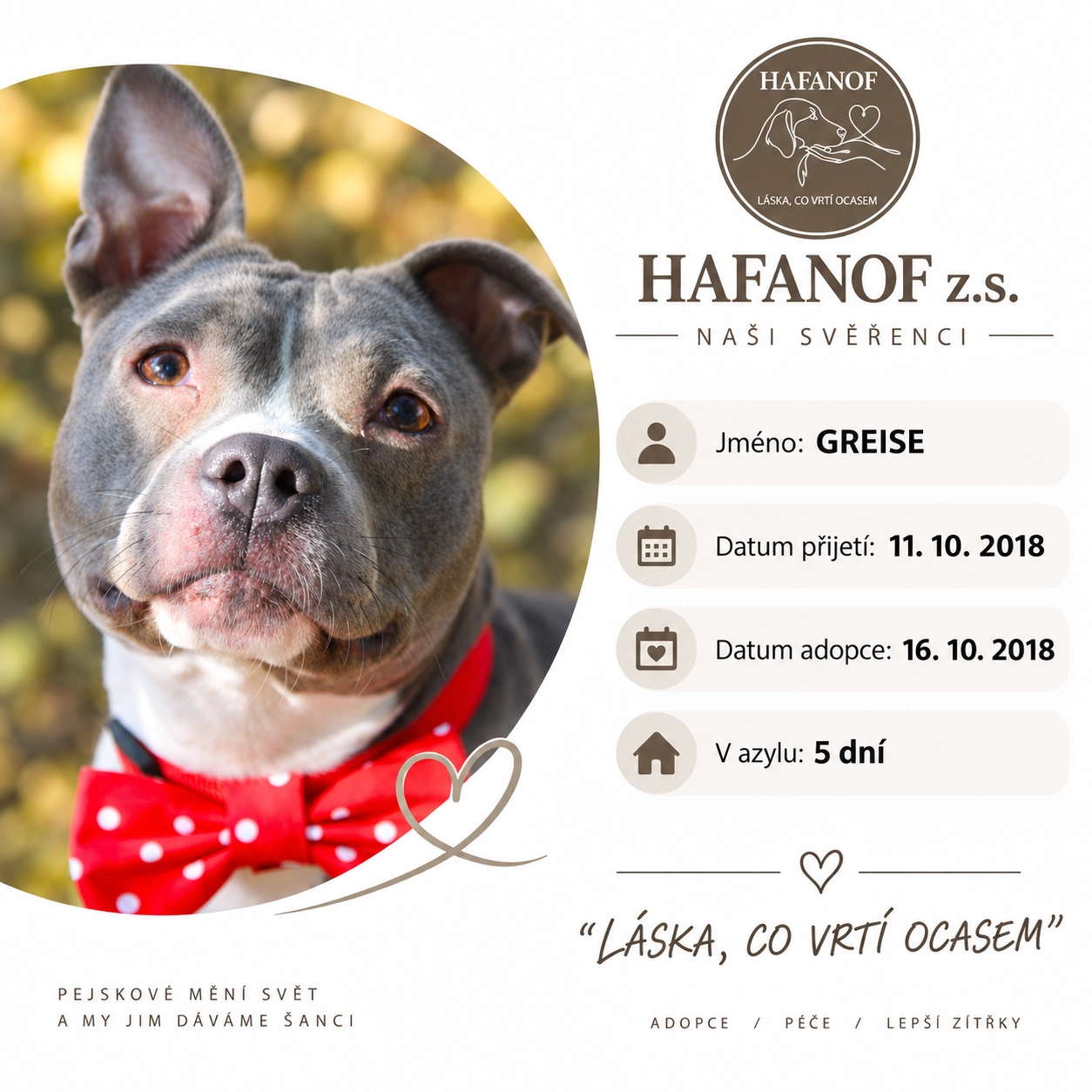 Greise – bývalá svěřenkyně Hafanofu