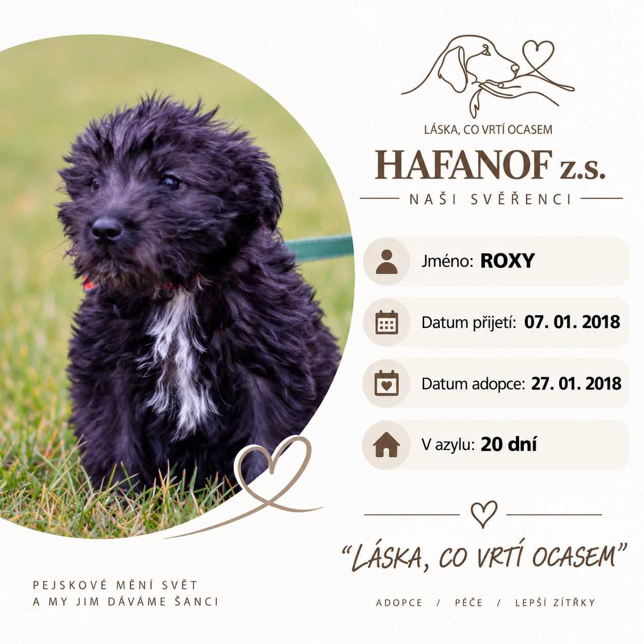 Roxy – Vendulka – bývalá svěřenkyně Hafanofu