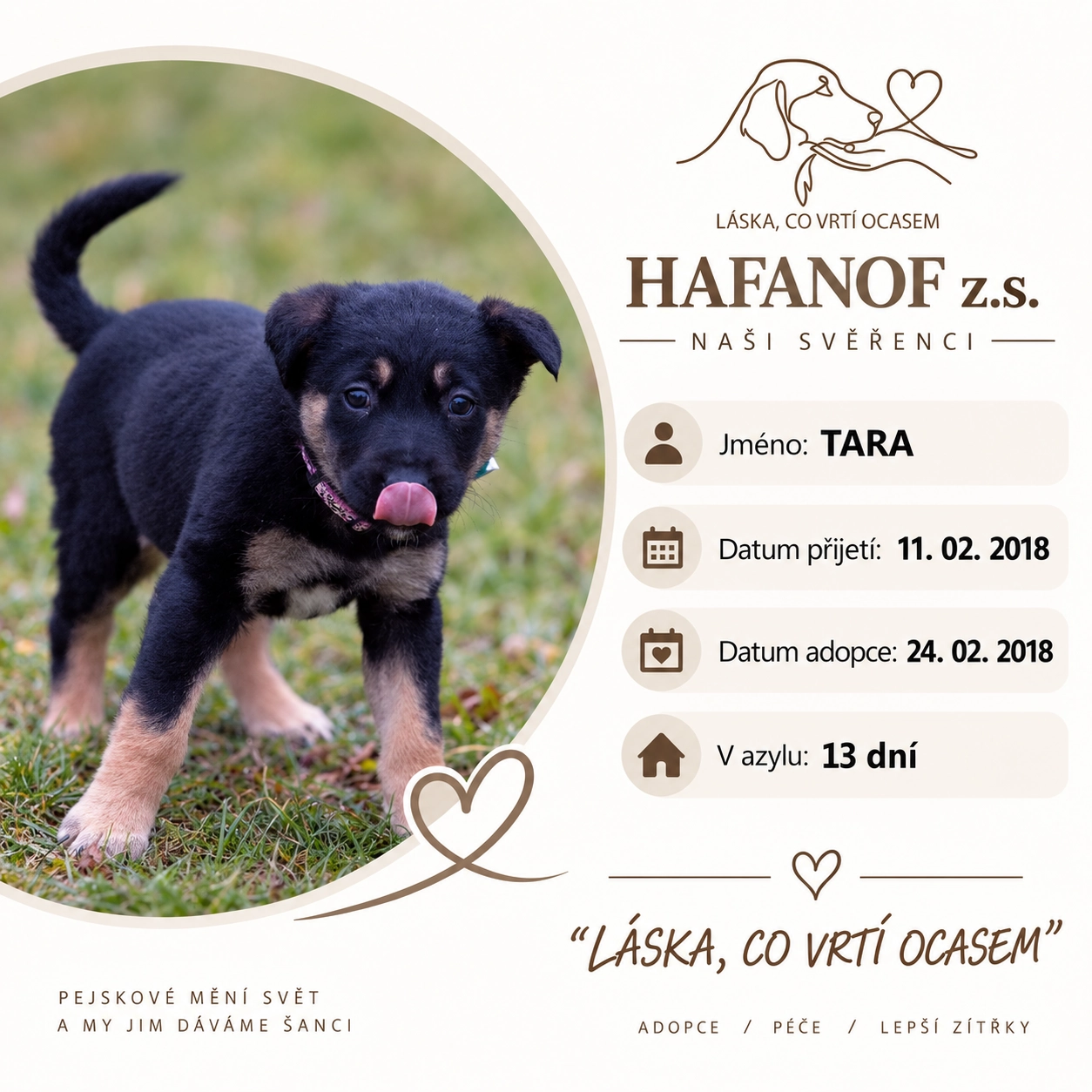 Tara – bývalá svěřenkyně Hafanofu