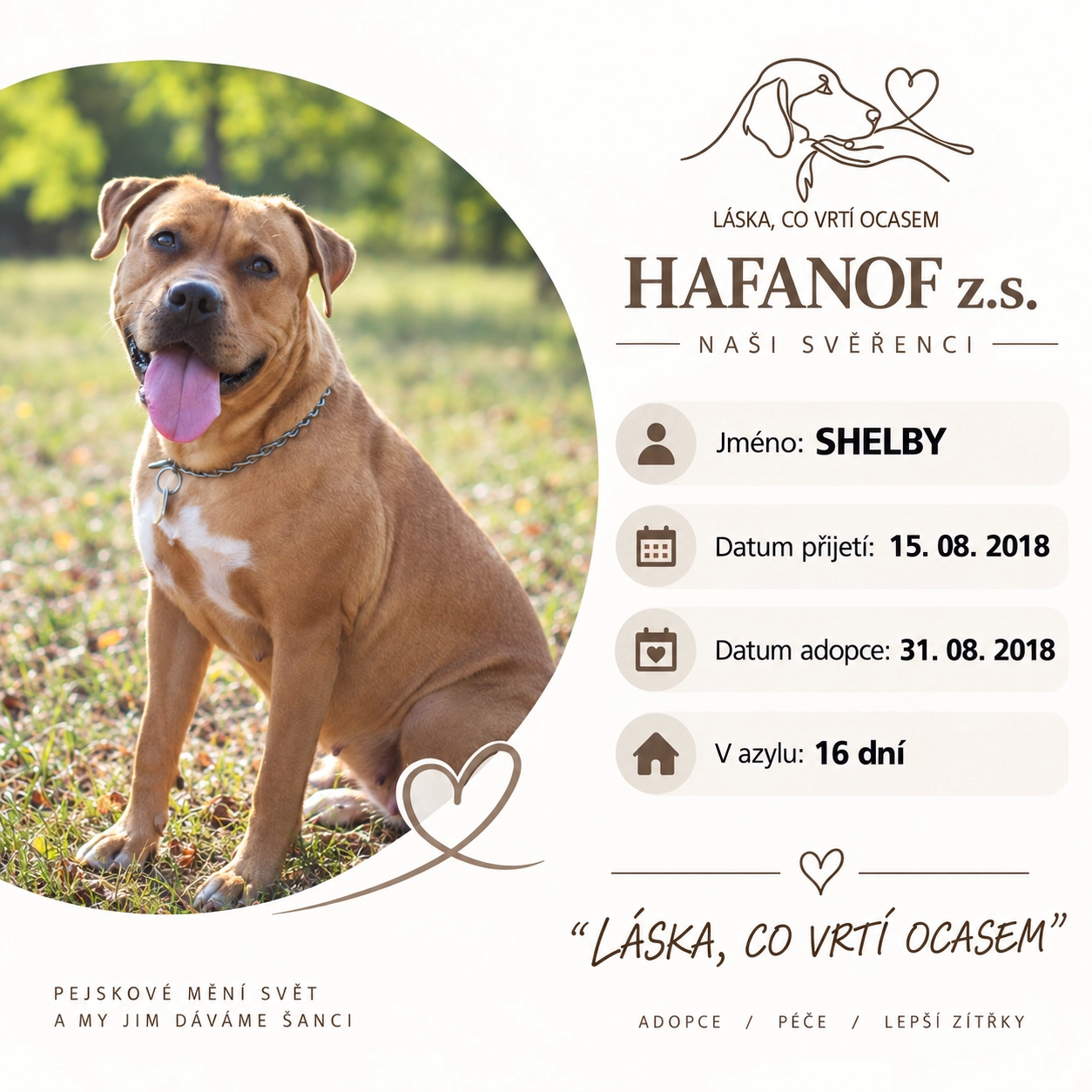 Shelby – bývalá svěřenkyně Hafanofu